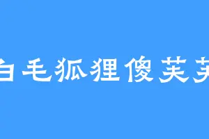 白毛狐狸傻芙芙