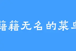籍籍无名的菜鸟