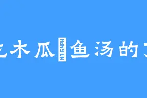 爱吃木瓜鲗鱼汤的丁鹏