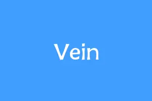 Vein