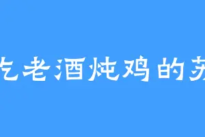 爱吃老酒炖鸡的苏止