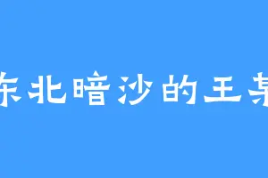 东北暗沙的王某