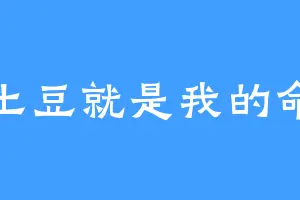 土豆就是我的命