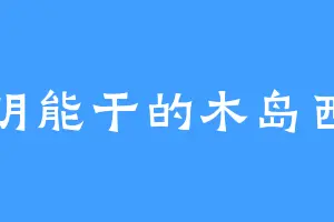 精明能干的木岛西亚