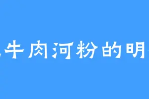 爱吃牛肉河粉的明哲轩