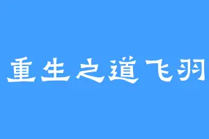 重生之道飞羽