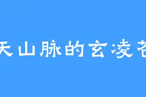 天山脉的玄凌苍