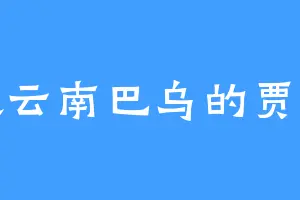 喜欢云南巴乌的贾纯亲