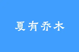 夏有乔木
