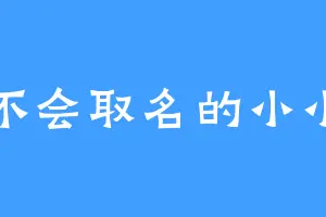 不会取名的小小