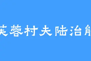 芙蓉村夫陆治能