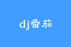 dj番茄