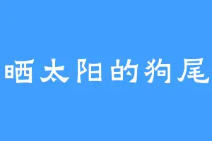 爱晒太阳的狗尾草