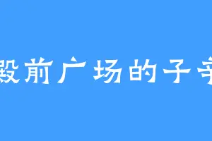 殿前广场的子辛