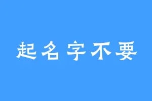 起名字不要