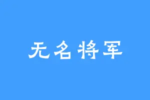 无名将军