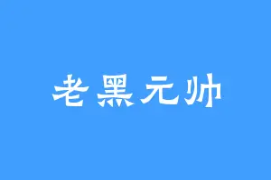 老黑元帅