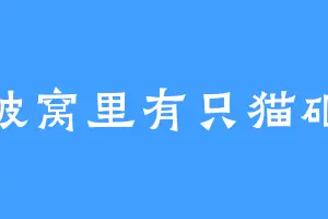 被窝里有只猫砸