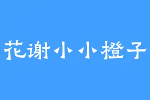 花开花谢小小橙子姐姐