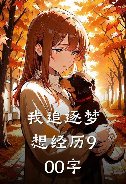 我追逐梦想经历900字