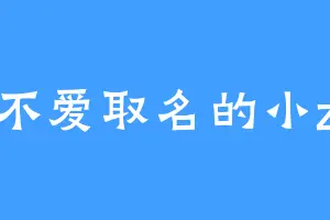 不爱取名的小z