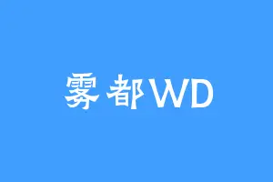 雾都WD