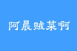 阿晨贼菜啊