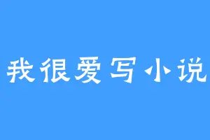 我很爱写小说