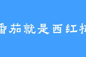 番茄就是西红柿