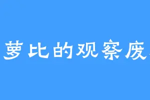 艾萝比的观察废料