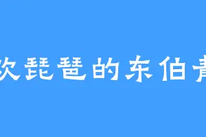 喜欢琵琶的东伯青石
