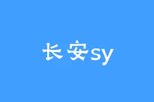 长安sy