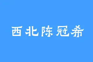 西北陈冠希