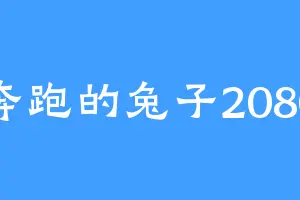 奔跑的兔子2080
