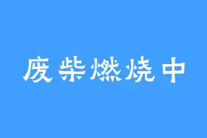 废柴燃烧中