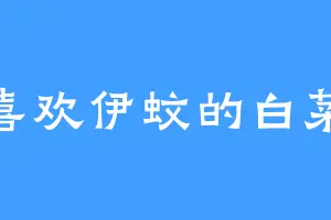 喜欢伊蚊的白菜