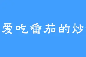 我爱吃番茄的炒饭