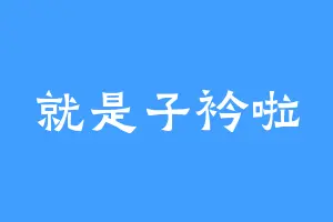 就是子衿啦