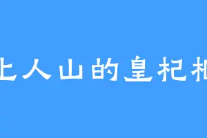 上人山的皇杞枢