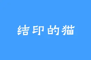 结印的猫