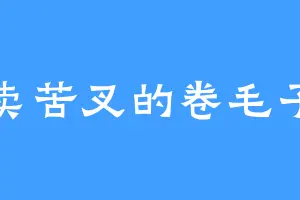 卖苦叉的卷毛子