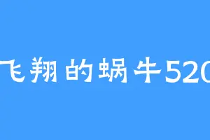 飞翔的蜗牛520