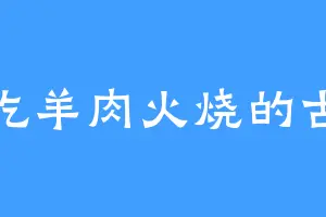 爱吃羊肉火烧的古德