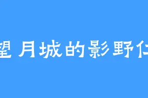 望月城的影野仁