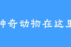 神奇动物在这里