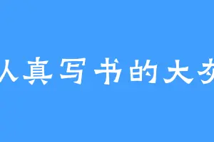 认真写书的大灰