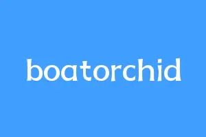 boatorchid
