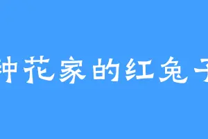 种花家的红兔子