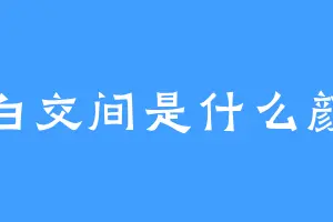 黑白交间是什么颜色