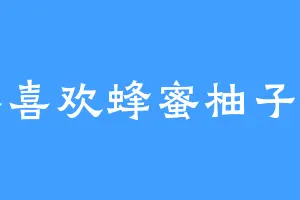 不喜欢蜂蜜柚子茶